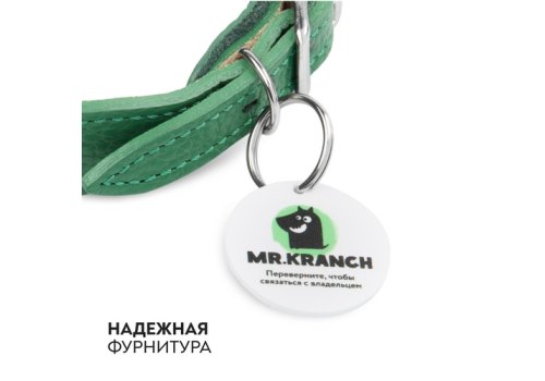 Mr.Kranch / Ошейник-cеледка Мистер Кранч для собак из Натуральной кожи с QR-адресником Зеленый