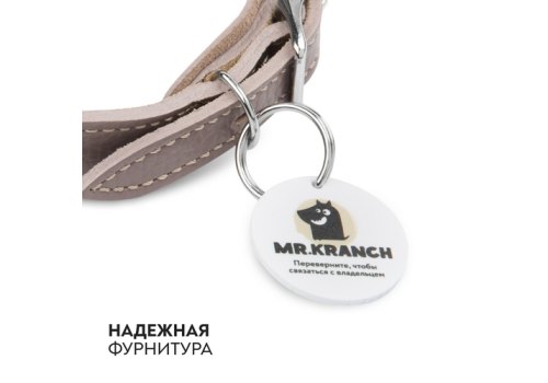 Mr.Kranch / Ошейник-cеледка Мистер Кранч для собак из Натуральной кожи с QR-адресником Бежевый