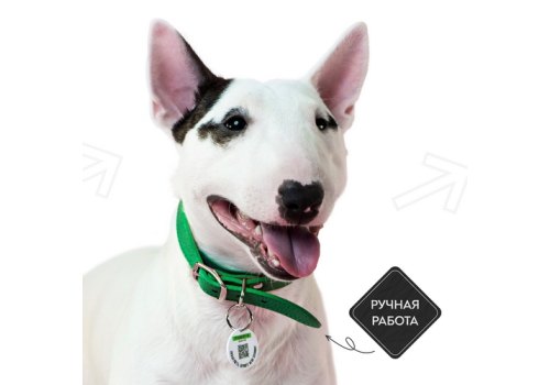 Mr.Kranch / Ошейник-cеледка Мистер Кранч для собак из Натуральной кожи с QR-адресником Зеленый