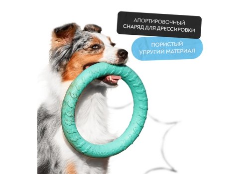 Mr.Kranch / Игрушка Мистер Кранч для собак Кольцо диаметр бирюзовая