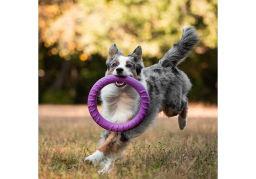 Mr.Kranch / Игрушка Мистер Кранч для собак Кольцо диаметр сиреневая