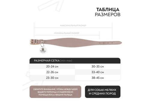 Mr.Kranch / Ошейник-cеледка Мистер Кранч для собак из Натуральной кожи с QR-адресником Бежевый