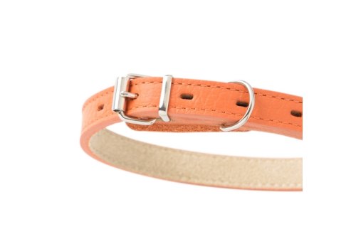 Mr.Kranch / Ошейник Мистер Кранч для собак из Натуральной кожи Прямой Оранжевый