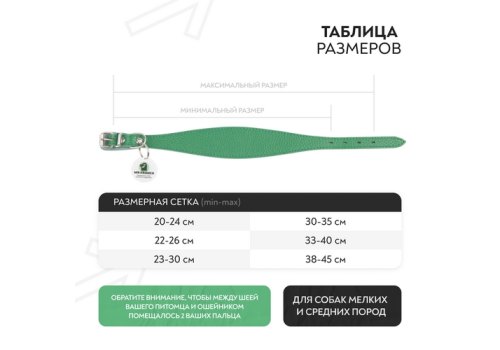 Mr.Kranch / Ошейник-cеледка Мистер Кранч для собак из Натуральной кожи с QR-адресником Зеленый