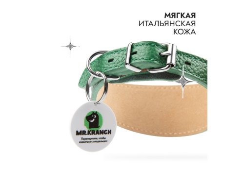 Mr.Kranch / Ошейник-cеледка Мистер Кранч для собак из Натуральной кожи с QR-адресником Зеленый