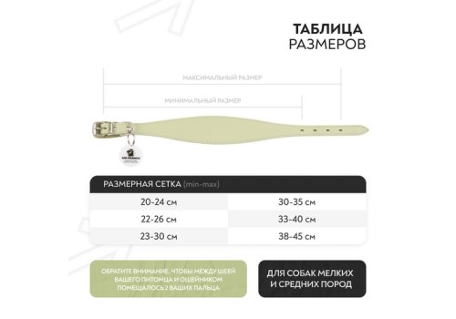 Mr.Kranch / Ошейник-cеледка Мистер Кранч для собак из Натуральной кожи с QR-адресником Нежно-зеленый