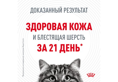 Royal Canin Hair & Skin Care Gravy / Влажный корм (Консервы-Паучи) Роял Канин Хэйр & Скин Кэа для кошек Здоровая кожа и шерсть в Соусе (цена за упаковку)