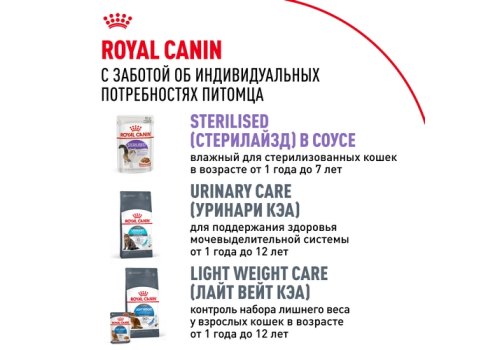 Royal Canin Sterilised Jelly / Влажный корм (Консервы-Паучи) Роял Канин Стерилайзд для взрослых кастрированных котов и Стерилизованных кошек в Желе (цена за упаковку)