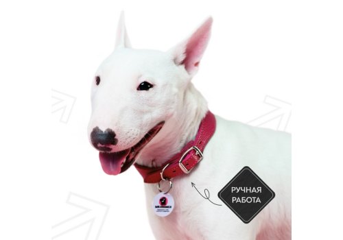 Mr.Kranch / Ошейник-cеледка Мистер Кранч для собак из Натуральной кожи с QR-адресником Малиновый