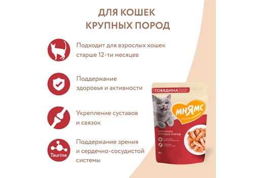 Мнямс Влажный корм Паучи для кошек Крупных пород Кусочки в соусе с Говядиной (цена за упаковку)