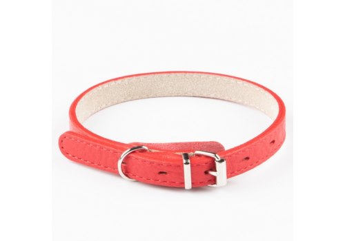 Mr.Kranch / Ошейник Мистер Кранч для собак из Натуральной кожи Прямой Красный
