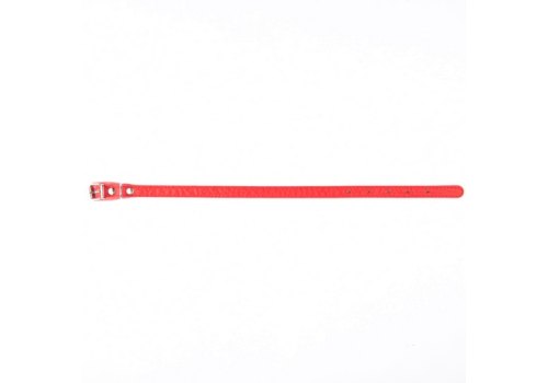 Mr.Kranch / Ошейник Мистер Кранч для собак из Натуральной кожи Прямой Красный