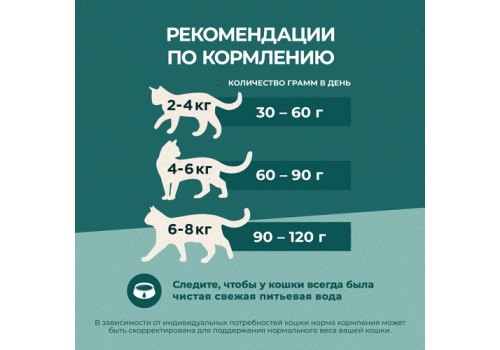 PURINA ONE SUPERFOOD / Сухой корм Пурина УАН для взрослых кошек с индейкой и спирулиной