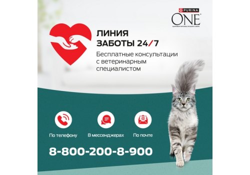 PURINA ONE SUPERFOOD / Сухой корм Пурина УАН для взрослых кошек с индейкой и спирулиной