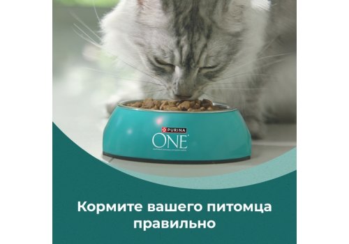 PURINA ONE SUPERFOOD / Сухой корм Пурина УАН для взрослых кошек с индейкой и спирулиной