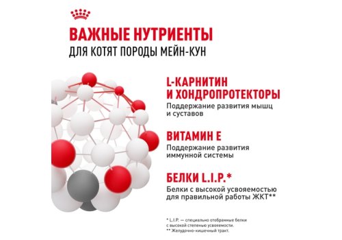 Royal Canin Breed Kitten Maine Coon / Влажный корм (Консервы-Паучи) Роял Канин для Котят породы Мэйн Кун в возрасте до 15 месяцев (цена за упаковку)