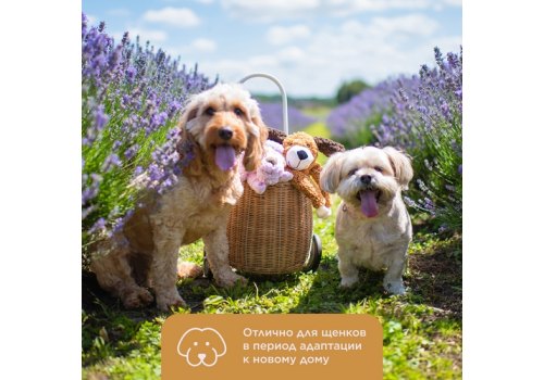 Aromadog Rescue / Игрушка Аромадог для собак Собачка с канатами с пищалкой Рыжий