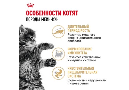 Royal Canin Breed Kitten Maine Coon / Влажный корм (Консервы-Паучи) Роял Канин для Котят породы Мэйн Кун в возрасте до 15 месяцев (цена за упаковку)