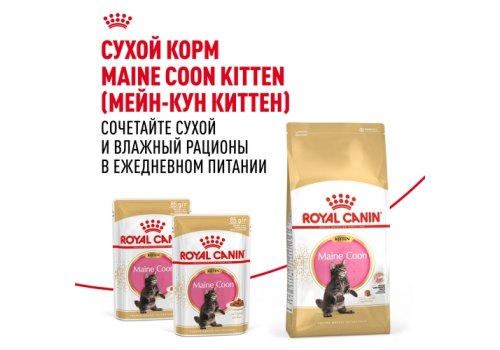 Royal Canin Breed Kitten Maine Coon / Влажный корм (Консервы-Паучи) Роял Канин для Котят породы Мэйн Кун в возрасте до 15 месяцев (цена за упаковку)