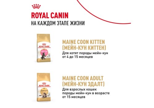 Royal Canin Breed Kitten Maine Coon / Влажный корм (Консервы-Паучи) Роял Канин для Котят породы Мэйн Кун в возрасте до 15 месяцев (цена за упаковку)