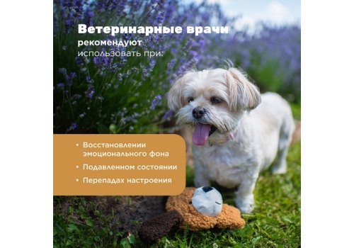 Aromadog Rescue / Игрушка Аромадог для собак Собачка без наполнителя с пищалкой Рыжий