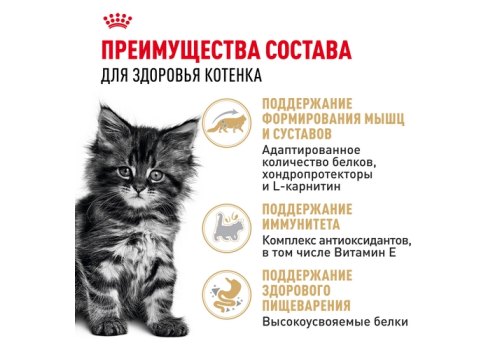 Royal Canin Breed Kitten Maine Coon / Влажный корм (Консервы-Паучи) Роял Канин для Котят породы Мэйн Кун в возрасте до 15 месяцев (цена за упаковку)