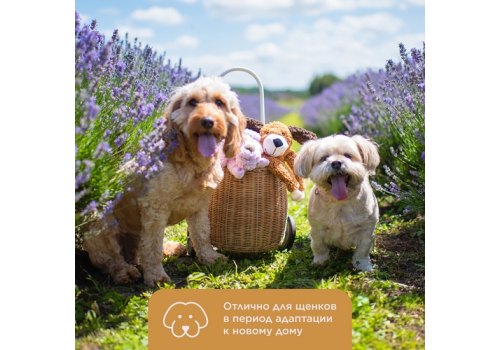 Aromadog Rescue / Игрушка Аромадог для собак Собачка кругляш с пищалкой Рыжий