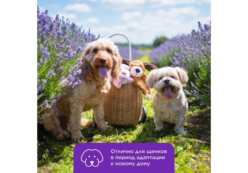 Aromadog Calm / Игрушка Аромадог для собак Собачка с канатами с пищалкой Cиреневый