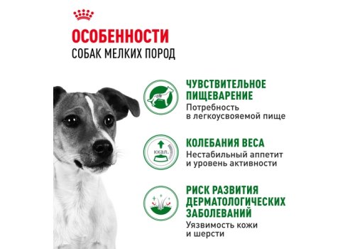 Royal Canin Mini Adult / Влажный корм (Паучи) Роял Канин Мини Эдалт для взрослых собак Мелких пород весом до 10 кг в возрасте от 10 месяцев до 8 лет (Цена за упаковку)
