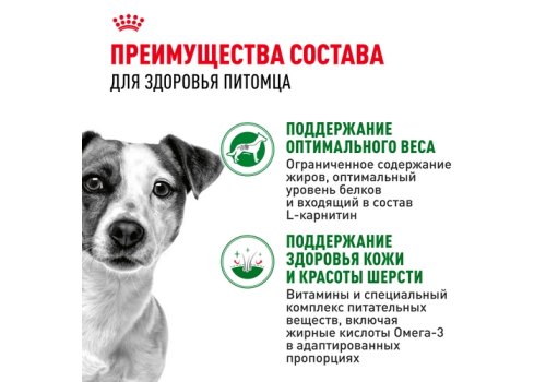 Royal Canin Mini Adult / Влажный корм (Паучи) Роял Канин Мини Эдалт для взрослых собак Мелких пород весом до 10 кг в возрасте от 10 месяцев до 8 лет (Цена за упаковку)