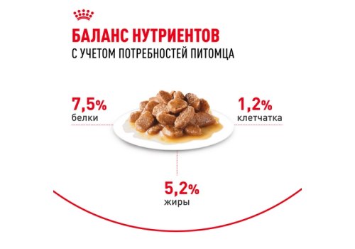 Royal Canin Mini Adult / Влажный корм (Паучи) Роял Канин Мини Эдалт для взрослых собак Мелких пород весом до 10 кг в возрасте от 10 месяцев до 8 лет (Цена за упаковку)