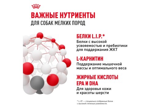 Royal Canin Mini Adult / Влажный корм (Паучи) Роял Канин Мини Эдалт для взрослых собак Мелких пород весом до 10 кг в возрасте от 10 месяцев до 8 лет (Цена за упаковку)