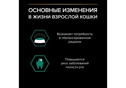PRO PLAN MAINTENANCE / Влажный корм Паучи ПРО ПЛАН (Поддержание естественной защиты организма) для взрослых кошек кусочки с говядиной в соусе (цена за упаковку)