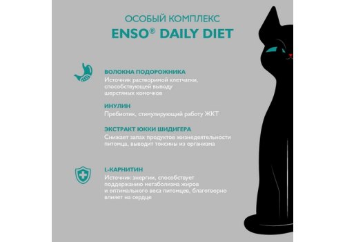 Enso / Влажный корм Энсо Паучи для взрослых привередливых кошек Форель Лосось Кусочки в соусе (цена за упаковку)