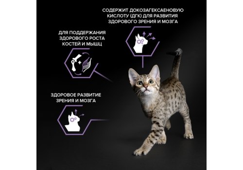 PRO PLAN HEALTHY START KITTEN / Сухой корм ПРО ПЛАН для Котят, беременных и кормящих кошек Поддержание иммунитета и здорового развития с Курицей