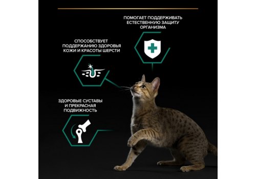 PRO PLAN MAINTENANCE / Влажный корм Паучи ПРО ПЛАН (Поддержание естественной защиты организма) для взрослых кошек кусочки с курицей в соусе (цена за упаковку)