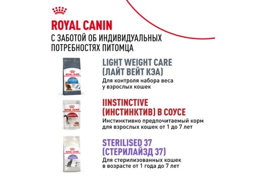 Royal Canin Indoor Jelly / Влажный корм (Консервы-Паучи) Роял Канин Индор для Стерилизованных кошек Живущих в помещении в Желе (цена за упаковку)