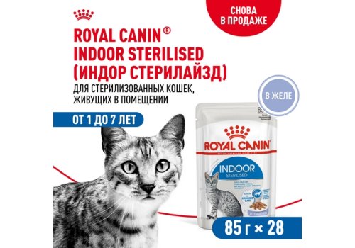 Royal Canin Indoor Jelly / Влажный корм (Консервы-Паучи) Роял Канин Индор для Стерилизованных кошек Живущих в помещении в Желе (цена за упаковку)