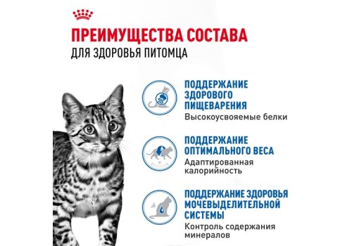 Royal Canin Indoor Jelly / Влажный корм (Консервы-Паучи) Роял Канин Индор для Стерилизованных кошек Живущих в помещении в Желе (цена за упаковку)