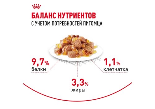 Royal Canin Indoor Jelly / Влажный корм (Консервы-Паучи) Роял Канин Индор для Стерилизованных кошек Живущих в помещении в Желе (цена за упаковку)