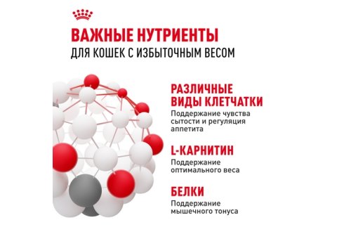 Royal Canin Light Weight Care Jelly / Влажный корм (Консервы-Паучи) Роял Канин Лайт Вейт Кэа для кошек Профилактика лишнего веса в Желе (цена за упаковку)