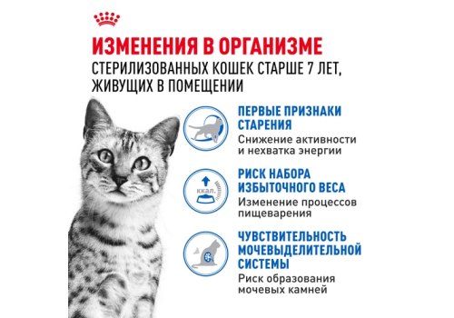 Royal Canin Indoor 7+ Sause / Влажный корм (Консервы-Паучи) Роял Канин Индор для Стерилизованных Пожилых кошек старше 7 лет Живущих в помещении в Соусе (цена за упаковку)