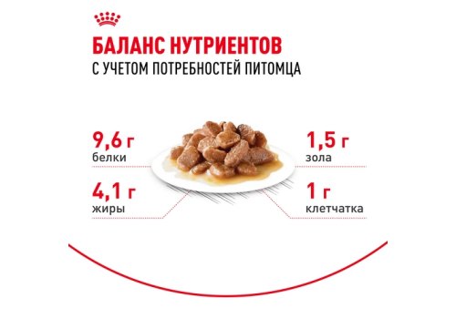 Royal Canin Ageing 12+ Sause / Влажный корм (Консервы-Паучи) Роял Канин Эйжинг для Пожилых кошек старше 12 лет в Соусе (цена за упаковку)