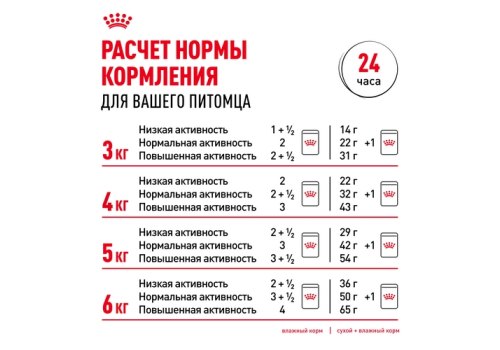 Royal Canin Ageing 12+ Sause / Влажный корм (Консервы-Паучи) Роял Канин Эйжинг для Пожилых кошек старше 12 лет в Соусе (цена за упаковку)