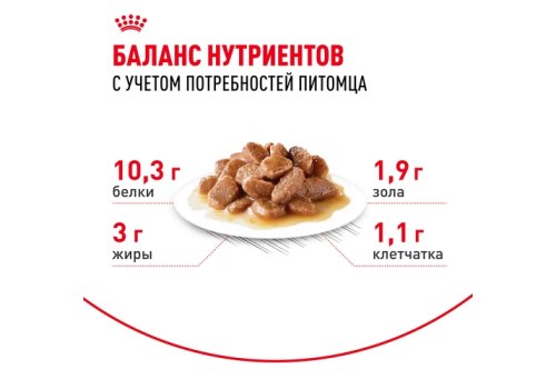 Royal Canin Indoor 7+ Sause / Влажный корм (Консервы-Паучи) Роял Канин Индор для Стерилизованных Пожилых кошек старше 7 лет Живущих в помещении в Соусе (цена за упаковку)