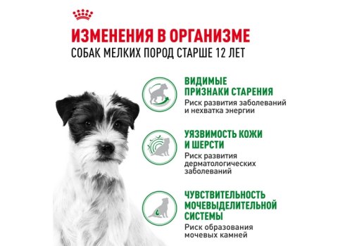 Royal Canin Mini Ageing 12+ / Влажный корм (Паучи) Роял Канин Мини Эйджинг для Пожилых собак Мелких пород весом до 10 кг старше 12 лет (Цена за упаковку)