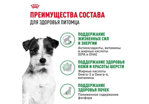 Royal Canin Mini Ageing 12+ / Влажный корм (Паучи) Роял Канин Мини Эйджинг для Пожилых собак Мелких пород весом до 10 кг старше 12 лет (Цена за упаковку)