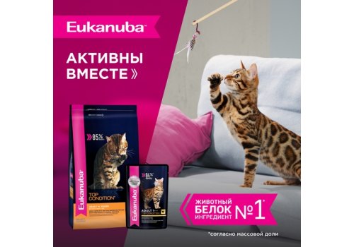 Eukanuba Adult Chicken / Паучи (Влажный корм) Эукануба для взрослых кошек в возрасте от 1 года до 7 лет с Курицей (цена за упаковку)