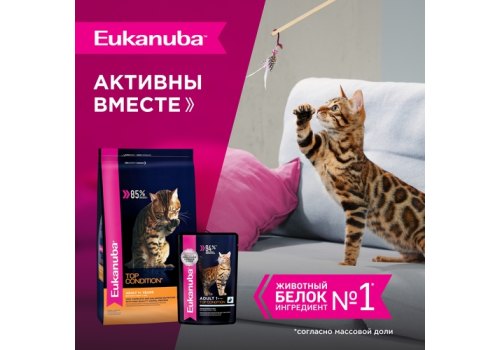 Eukanuba Adult Rabbit / Паучи (Влажный корм) Эукануба для взрослых кошек в возрасте от 1 года до 7 лет с Кроликом (цена за упаковку)