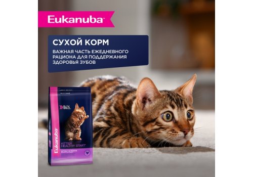 Eukanuba Kitten Chicken / Паучи (Влажный корм) Эукануба для Котят в возрасте до 1 года с Курицей (цена за упаковку)